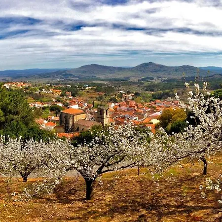At La Abuela Antonia- Ca Pablo Apartament *