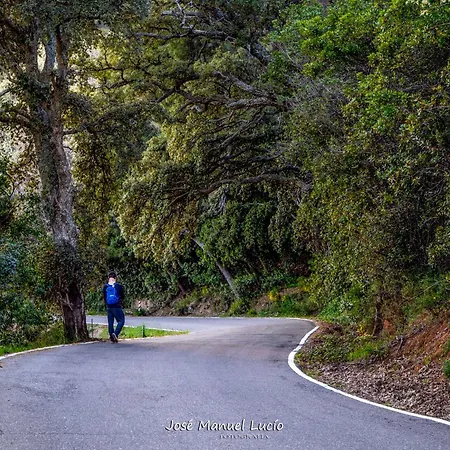 Apartament At La Abuela Antonia- Ca Pablo