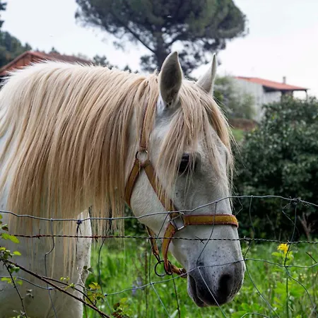 At La Abuela Antonia- Ca Pablo Apartament Torre de Don Miguel