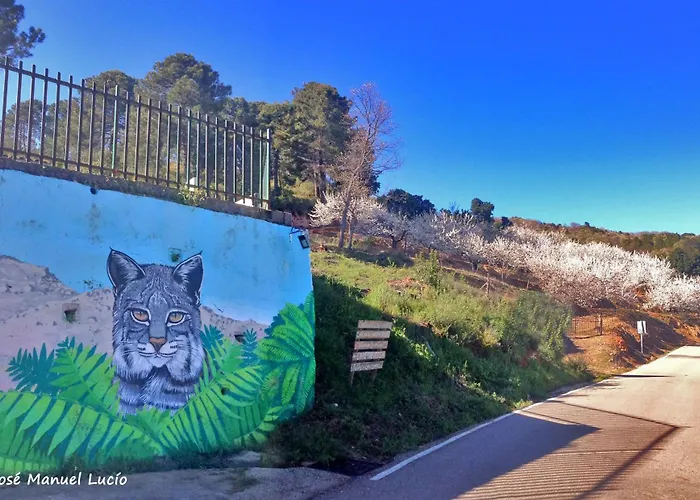 At La Abuela Antonia- Ca Pablo Апартаменты Торре-де-Дон-Мигель