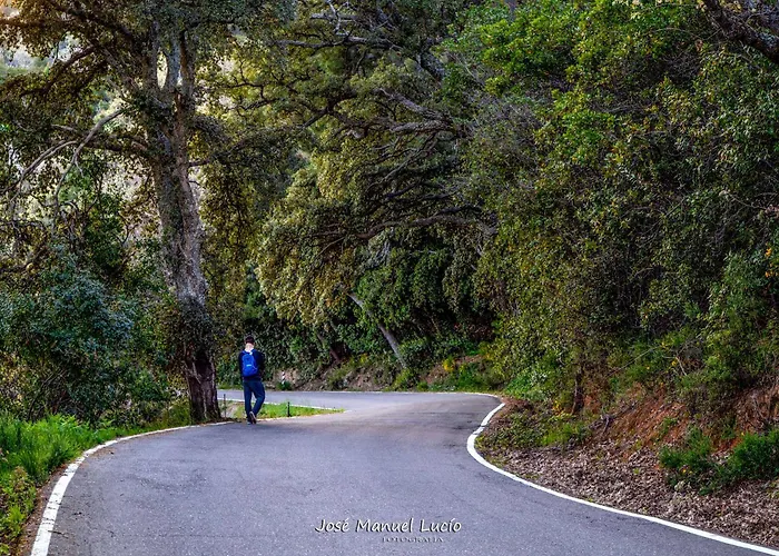 Апартаменты At La Abuela Antonia- Ca Pablo