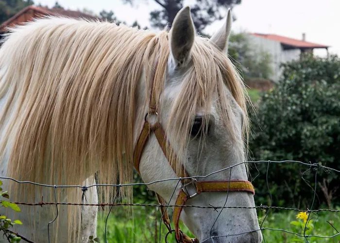At La Abuela Antonia- Ca Pablo Апартаменты Торре-де-Дон-Мигель